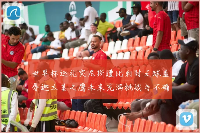 世界杯巡礼突尼斯遭比利时五球羞辱迦太基之鹰未来充满挑战与不确定性