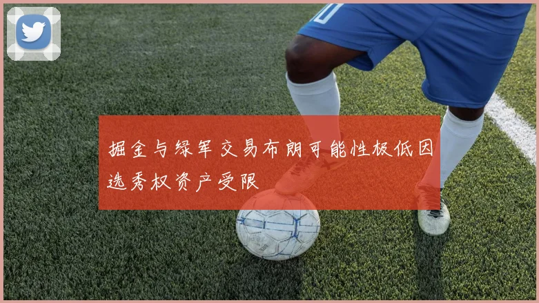 掘金与绿军交易布朗可能性极低因选秀权资产受限