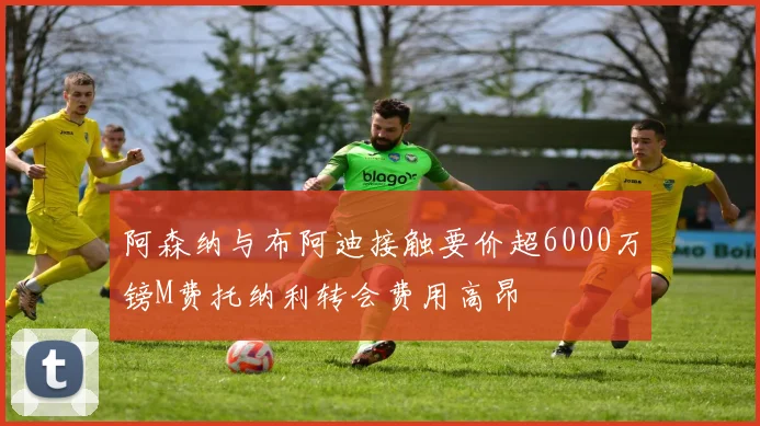 阿森纳与布阿迪接触要价超6000万镑M费托纳利转会费用高昂